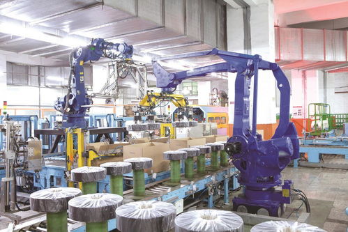 新金融书写山海情——建行福建省分行服务福建实体经济高质量发展